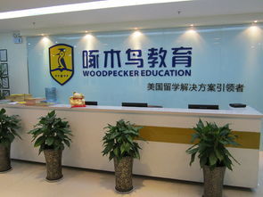 教育咨詢公司的經(jīng)營范圍與出國留學(xué)業(yè)務(wù)解析